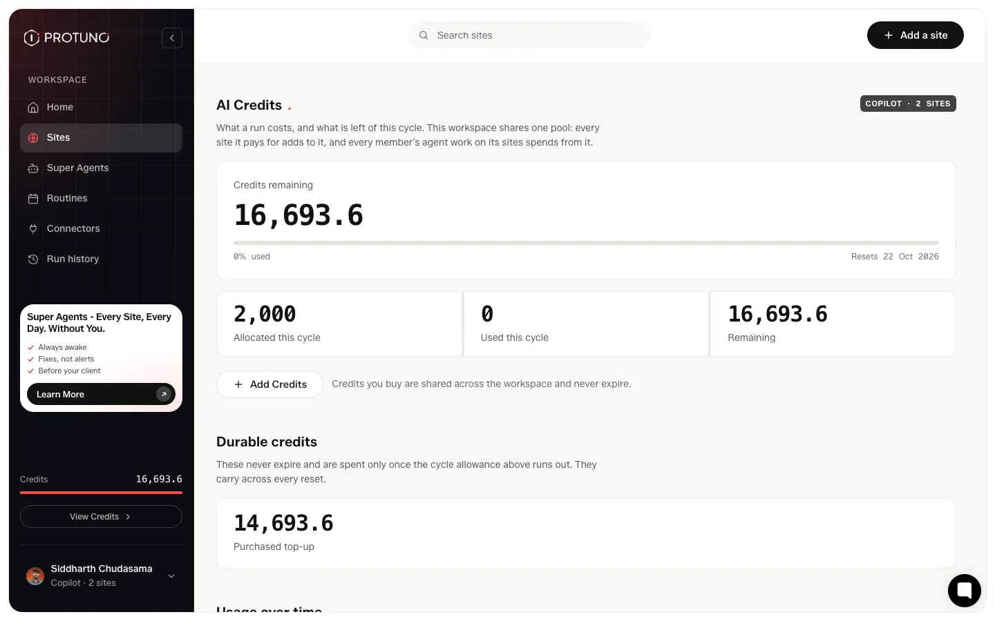 The AI Credits screen showing the allowance for the cycle, usage over thirty days and an itemised usage history