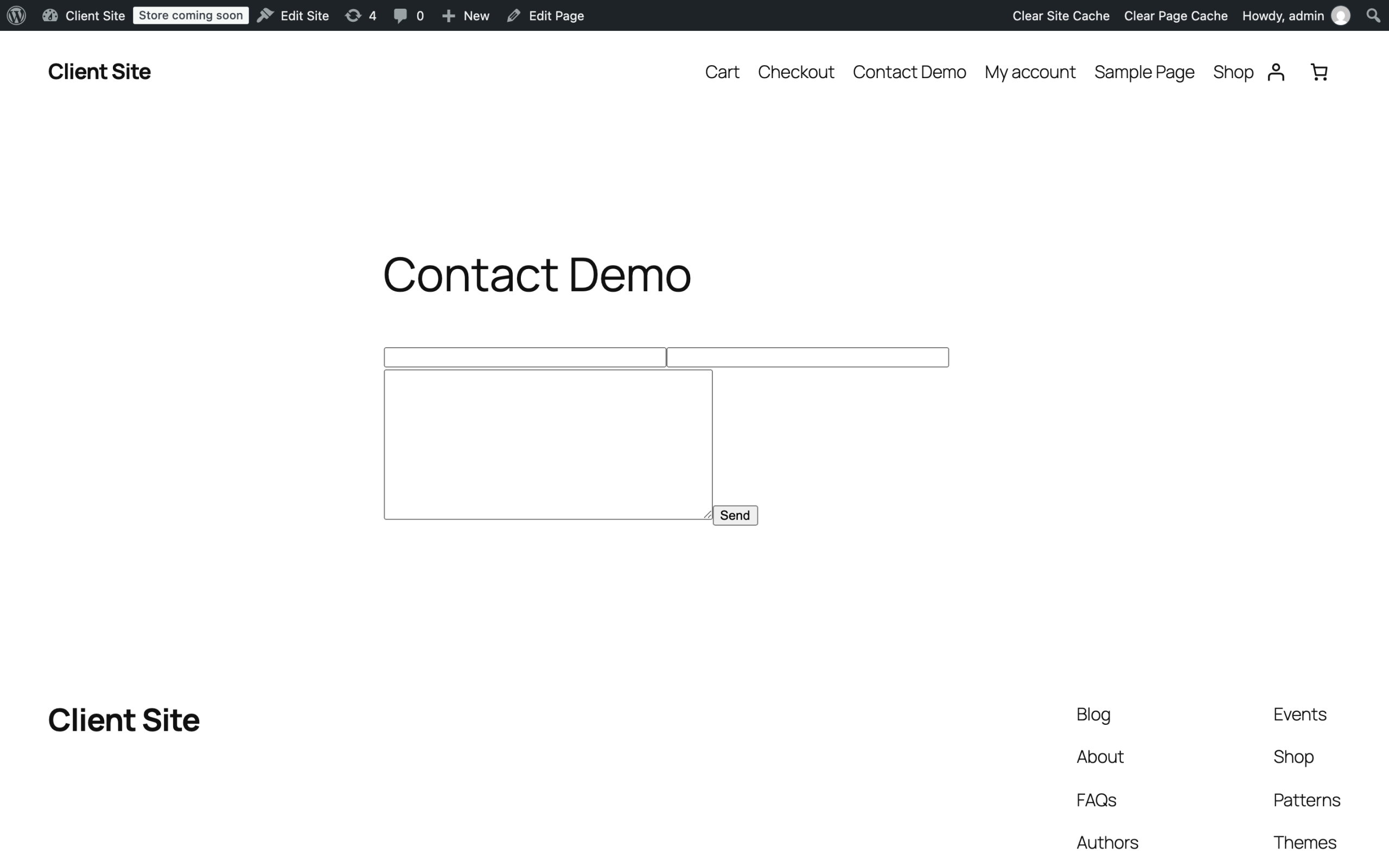 Contact form rendered on the test WordPress site, with name, email and message fields and a Send button