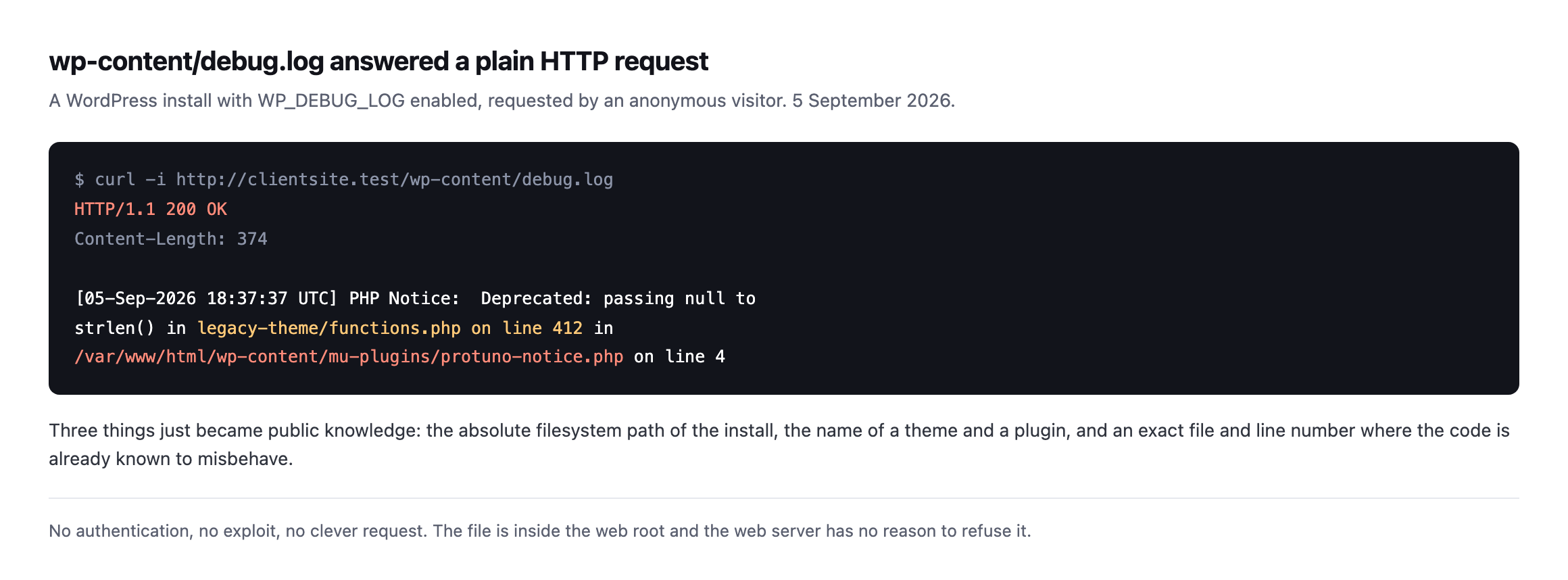 Terminal output showing a curl request to wp-content/debug.log returning HTTP 200 with 374 bytes, disclosing a PHP notice containing an absolute filesystem path, a theme name, a plugin path and a line number