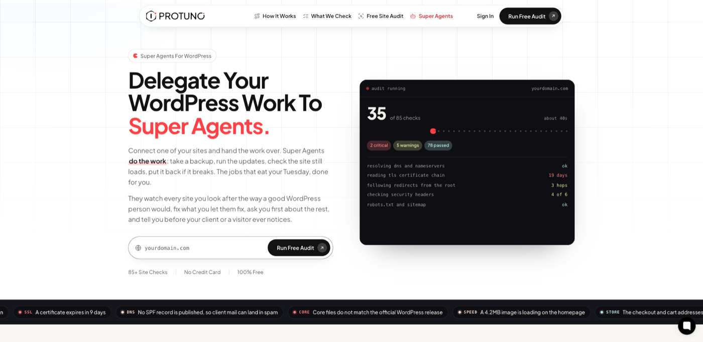 The Protuno homepage with the free site audit input